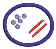 Bactérias