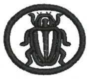 Insetos